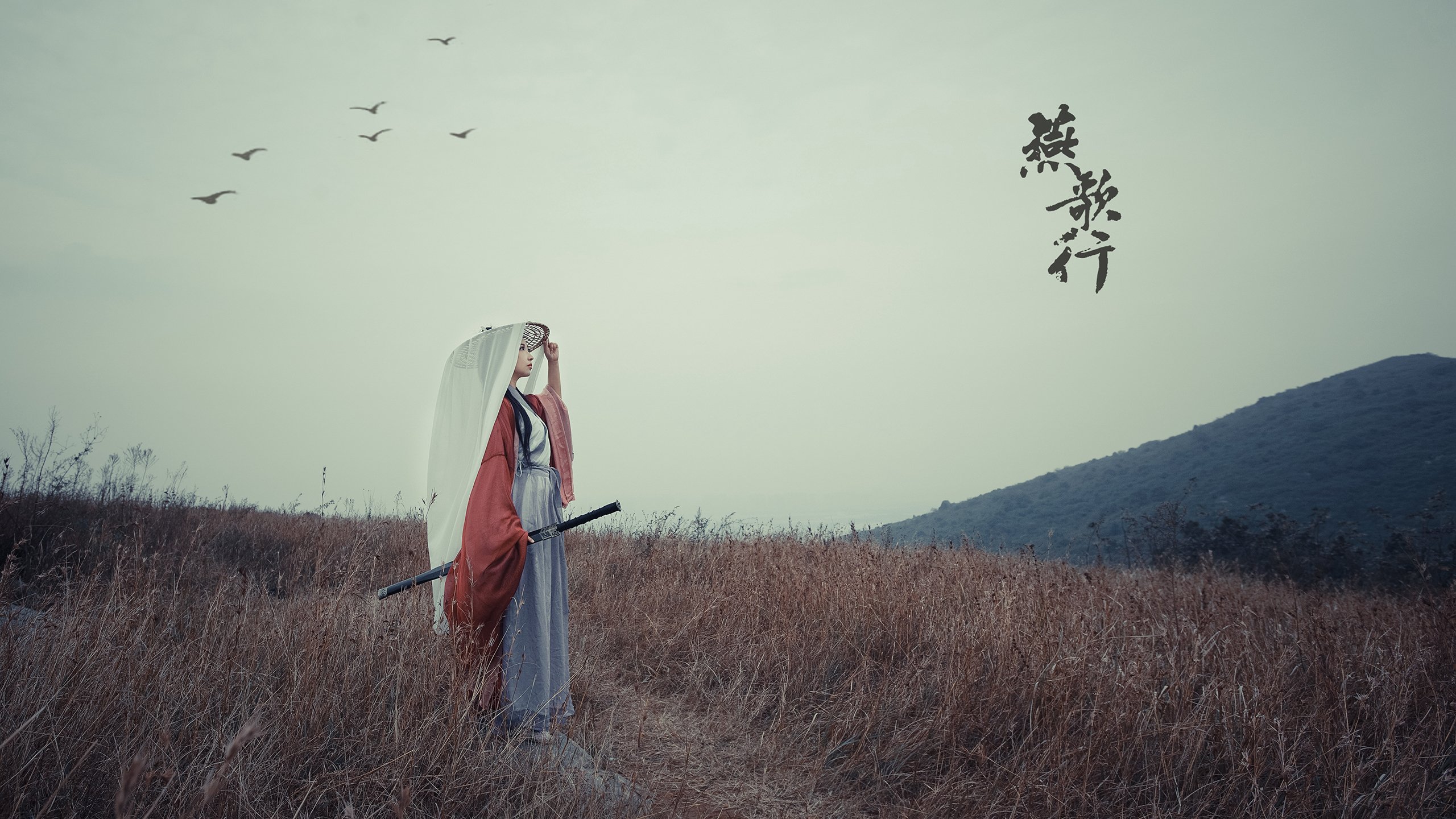 哪里可能看长安谈球吧汽车配件多少钱（长安谈球吧汽车配件查询）