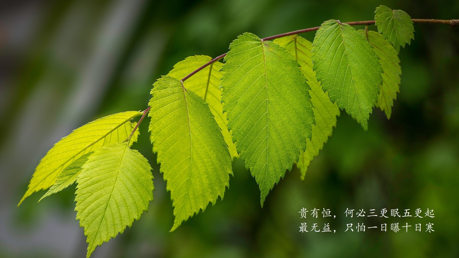 一个新手如何看懂谈球吧汽车配件图纸呢（谈球吧汽车配件图示）