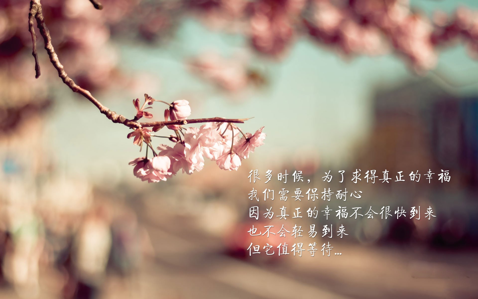 发动机部件组成部分（掌握发动机各部件组成位置）